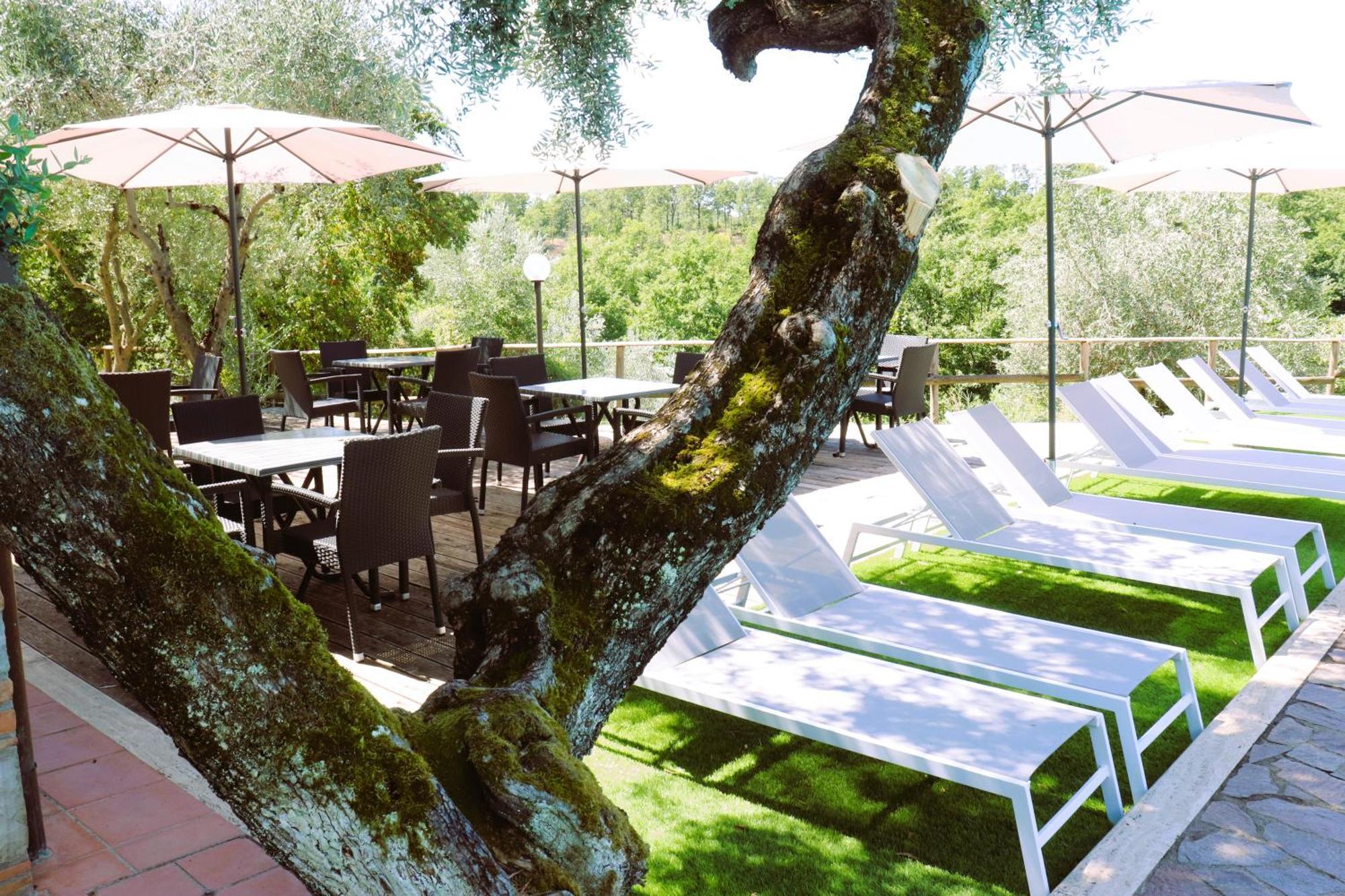 Apartament Pian Della Bandina Città della Pieve Zewnętrze zdjęcie
