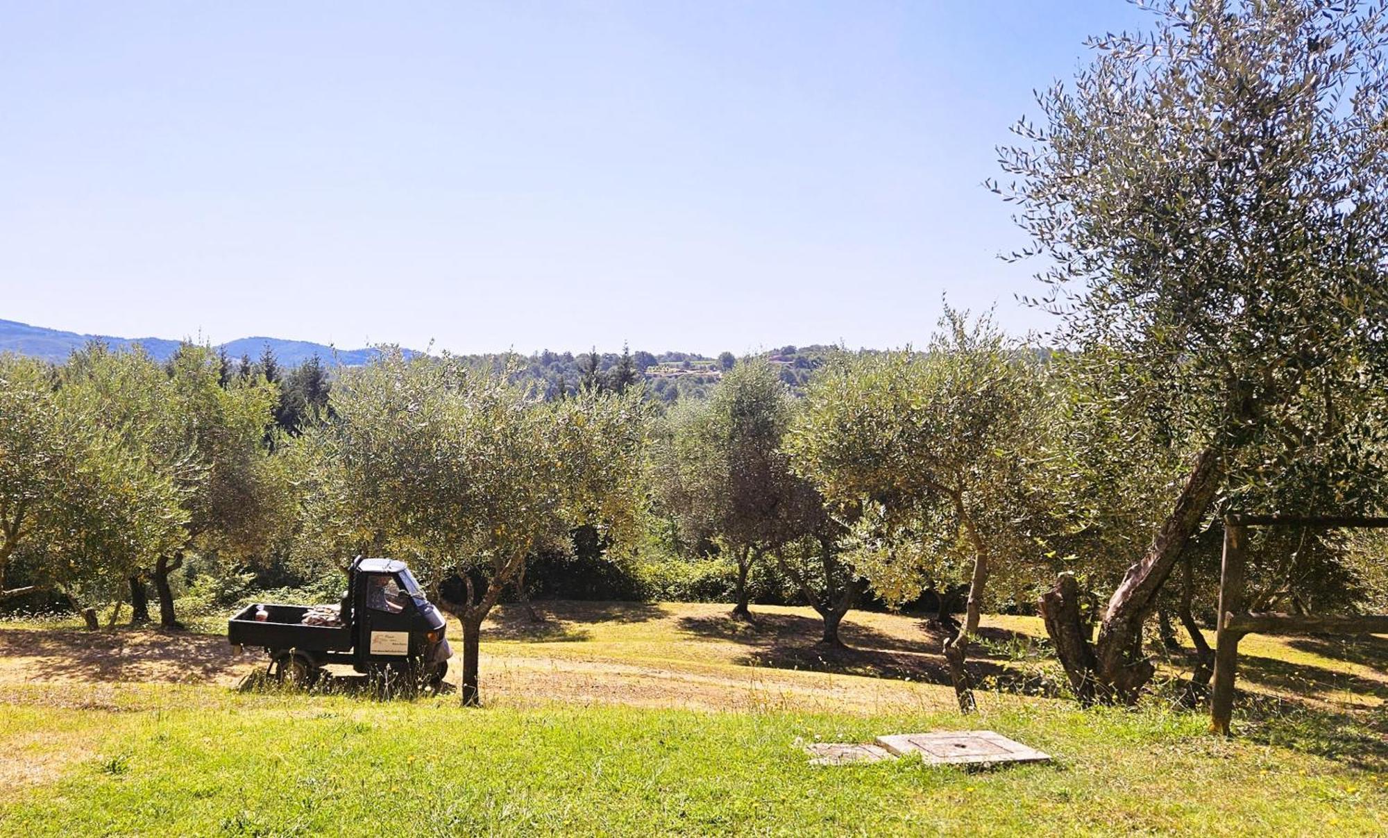 Apartament Pian Della Bandina Città della Pieve Zewnętrze zdjęcie
